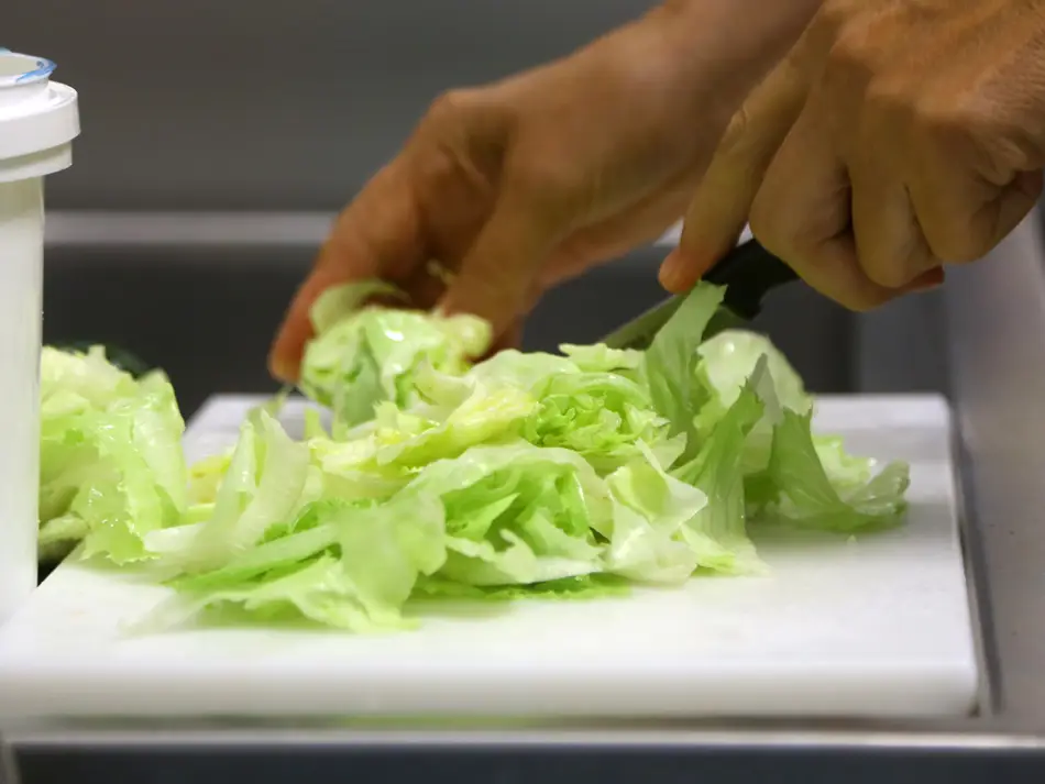 Detailbild von Händen, die grüne Salatbläter schneiden.