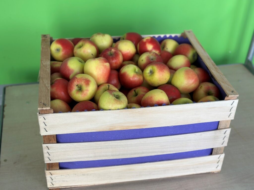 Herr Sillner spendierte eine große Kiste Äpfel.