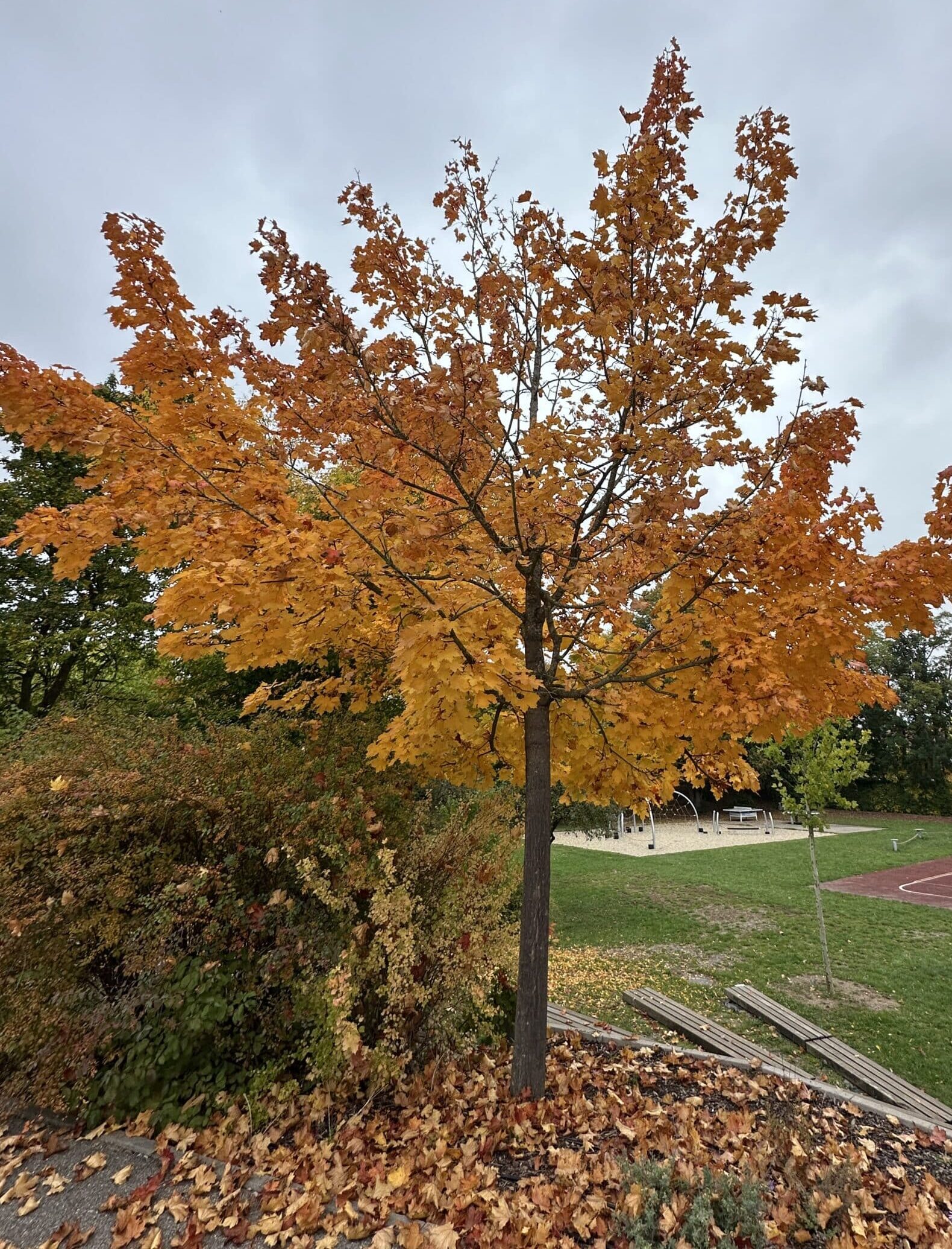 Ein erlebnisreicher Wandertag nach Laub